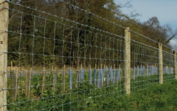 Construction entrepot de stockage-Cloture