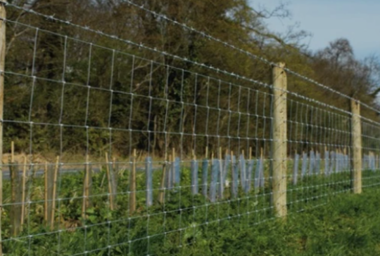 Construction entrepot de stockage-Cloture