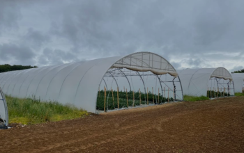Construction entrepot de stockage-serres