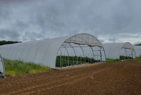 Construction entrepot de stockage-serres