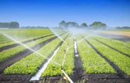 agriculture
