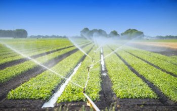 agriculture